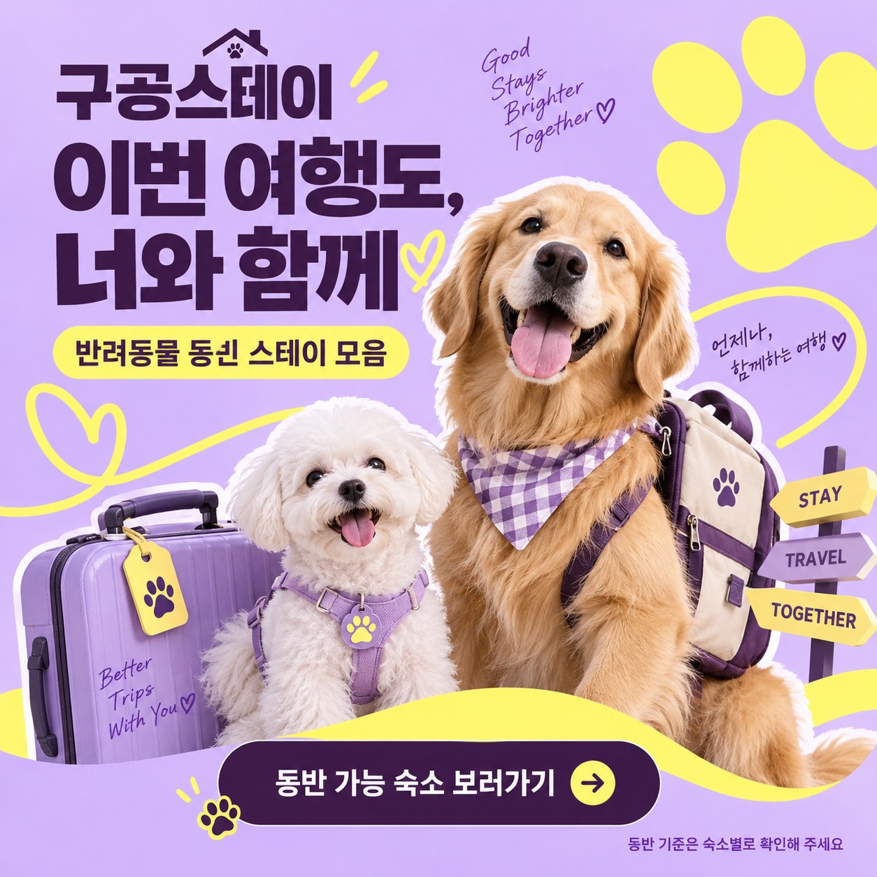반려동물 동반 스테이 모음